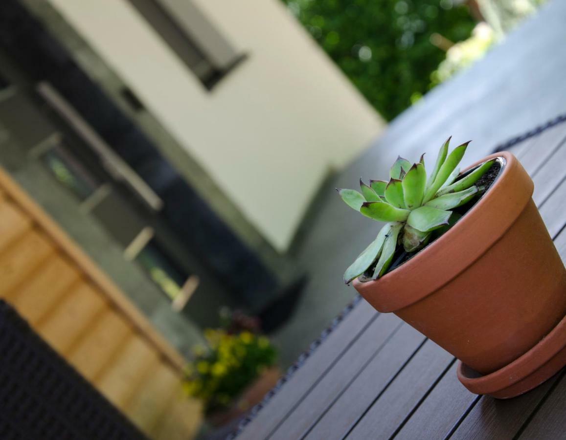 Apartmaji Rajska Ptica 블레드 외부 사진